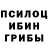 Псилоцибиновые грибы MAGIC MUSHROOMS Nazgul Rysmamova