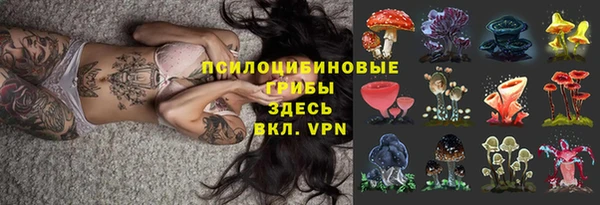 спайс Баксан
