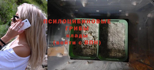 трава Балахна