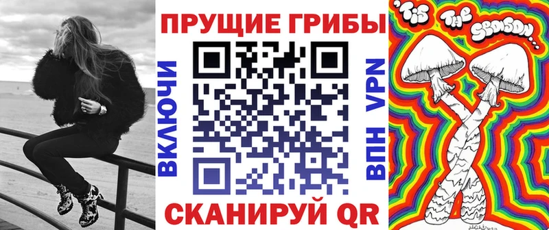 Галлюциногенные грибы ЛСД  нарко площадка телеграм  Кяхта 